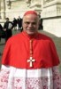 Vatikan: Aufregung um Schönborn-Zitat