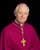 Kardinal Wuerl: „Glaube und Gesellschaft gehören zusammen"