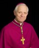 Vatikan: Wuerl soll`s machen