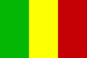 Mali: Islamistische Gruppen fusionieren