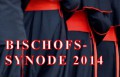 Bischofssynode 2014