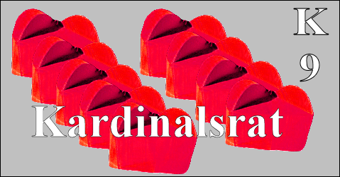 Kardinalsrat: Vom „pastoralen Charakter“ der Kurie
