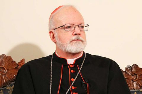 Kardinal O'Malley: Worte des Papstes "eine Quelle großer Schmerzen" für Missbrauchsopfer