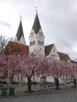 D: Anzeige gegen Bischof Hanke