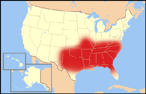 Warum boomt der Katholizismus im protestantischen "Bible Belt" der USA?