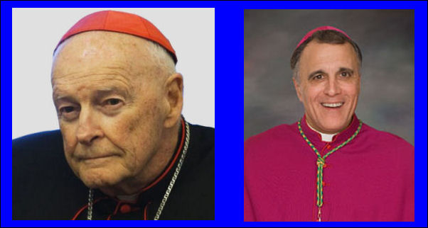 US-Bischöfe bitten Vatikan, den McCarrick-Skandal und weitere Fälle formal zu untersuchen